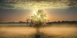 Le Créateur – Soyez aimables !