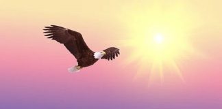 Sisyphe doit maintenant lâcher son fardeau et s’envoler librement