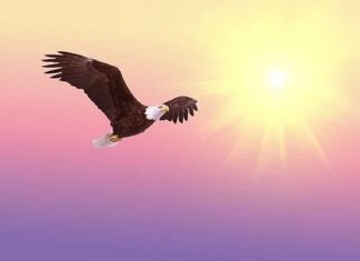 Sisyphe doit maintenant lâcher son fardeau et s’envoler librement