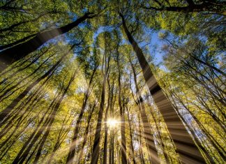 Permettre une nouvelle perception