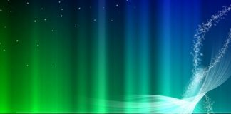 Discussions sur les mesures de soutien pour dissoudre la peur et la maladie