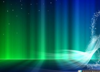 Discussions sur les mesures de soutien pour dissoudre la peur et la maladie