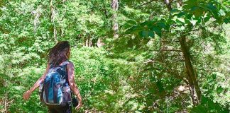 Ne revenons pas à la « normale »…