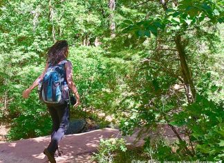 Ne revenons pas à la « normale »…