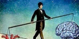 Le Créateur – L’Équilibre entre la Tête et le Cœur