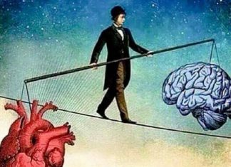 Le Créateur – L’Équilibre entre la Tête et le Cœur