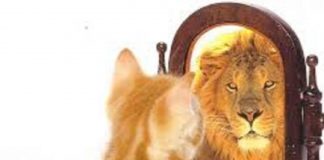 Le Créateur – Parfait !