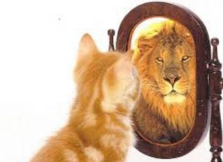 Le Créateur – Parfait !