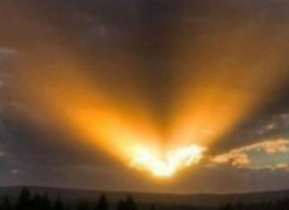 Avez-vous l’Intention d’Aimer Librement?