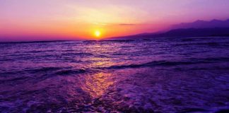 Le Créateur – Créez !