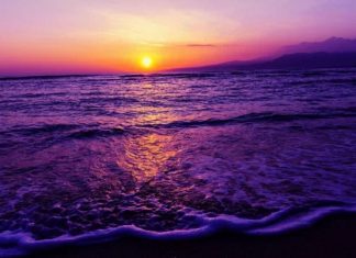 Le Créateur – Créez !