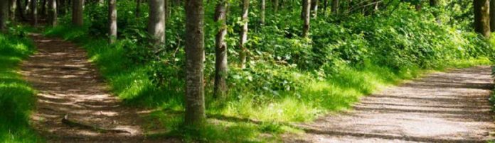 croisée des chemins