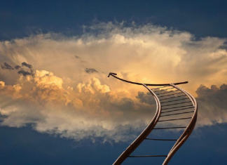 Le Plan de Votre Âme