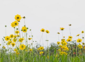 La vérité sur la Vérité