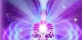 Hilarion : Mise à Jour – Décembre 2020