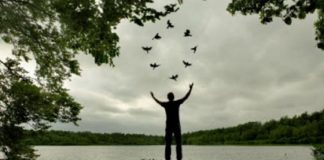 Prendre Soin de Gaïa