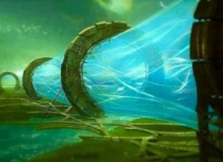 Le portail de l’Ascension 11:11