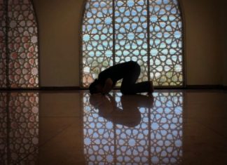 Le Créateur – Vivre