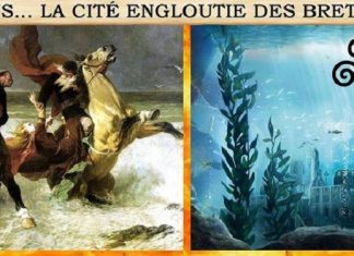 Collaboration Intergalactique : Le retour de la Sagesse Celtique