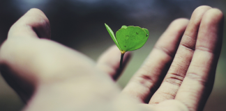 Le Créateur – Continuez à grandir !