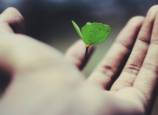 Le Créateur – Continuez à grandir !