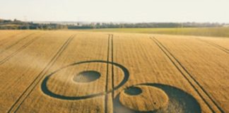 Yosuel – Message sur le Crop Circle apparu dans le Lauragais fin mai 2020