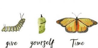 Le Créateur – Donnez-vous le temps…