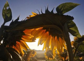 Le temps à votre service