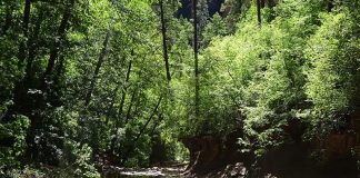 Respirez. Recevez la vie…