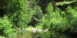 Sentir l’amour en un instant