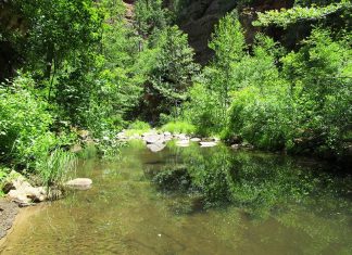 Sentir l’amour en un instant