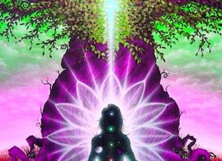 La Nécessité de Rester Enraciné Chaque Jour