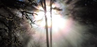 Le Temps de l’Ère des Miracles est Entré dans le Domaine du Possible