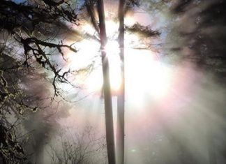 Le Temps de l’Ère des Miracles est Entré dans le Domaine du Possible