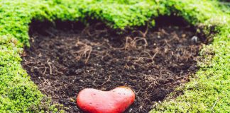 L’ouverture des jardins coeurs