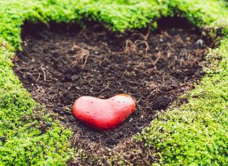 L’ouverture des jardins coeurs