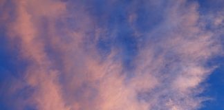 Le monde a besoin de votre paix