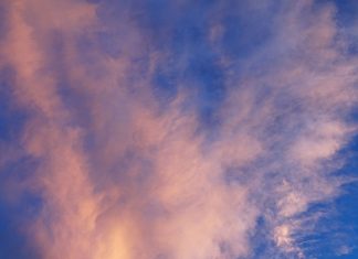 Le monde a besoin de votre paix