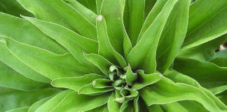 Faire face aux sentiments profonds