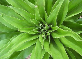 Faire face aux sentiments profonds