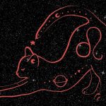 Astrologie Intuitive – Saison du Lion 2020