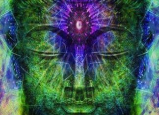 Conscience à ressentir – La Puissance de Réalisation