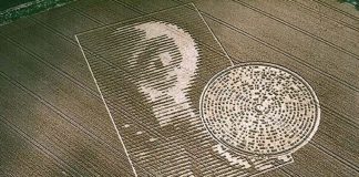 Yosuel transmet une vérité sur la révélation du Crop Circle apparu le 15/08/2002 à Crabwood