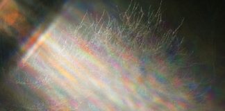 En toute Sécurité à travers la Tempête !