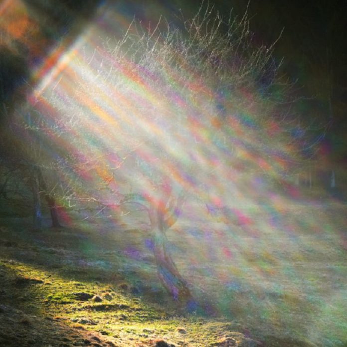 En toute Sécurité à travers la Tempête