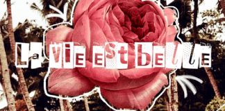 Conseil Intergalactique : La Vie est Belle