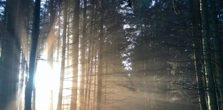 Le Remède de la Lumière