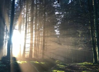 Le Remède de la Lumière