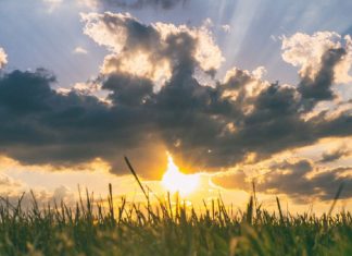 Que tout soit source de joie