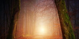 Qu’est-ce qui peut être caché ?